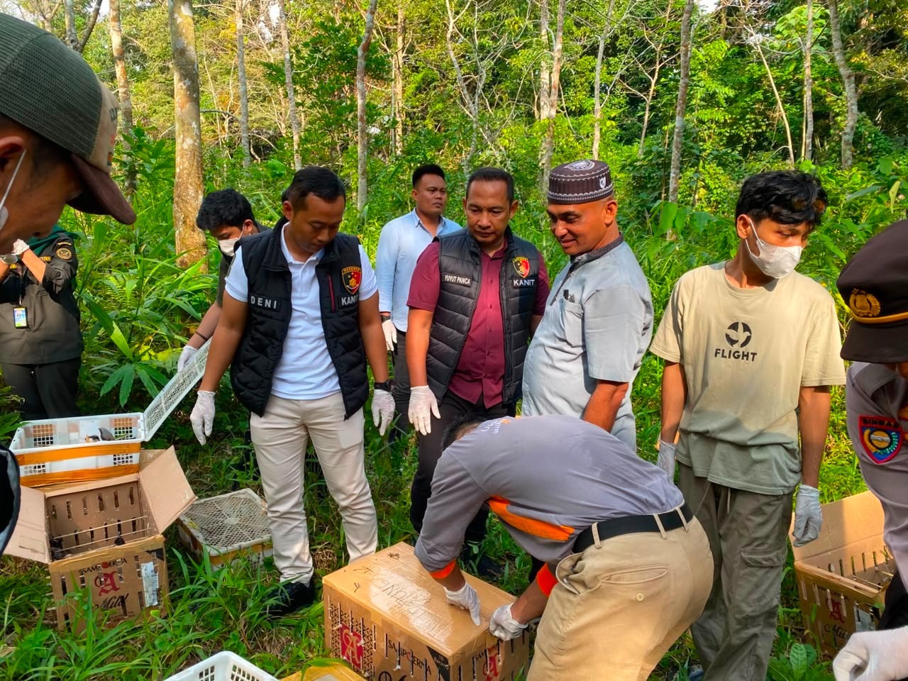 977 Ekor Burung, Termasuk Satwa Dilindungi, Digagalkan di Pelabuhan Bakauheni