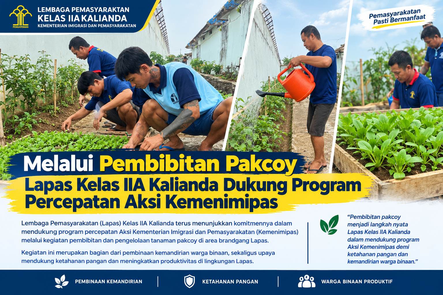 Melalui  pembibitan pakcoy Lapas Kalianda dukung program percepatan Aksi Kemenimipas